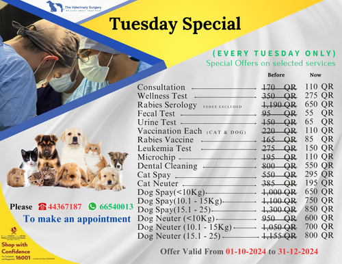 Tuesday Special (2).png