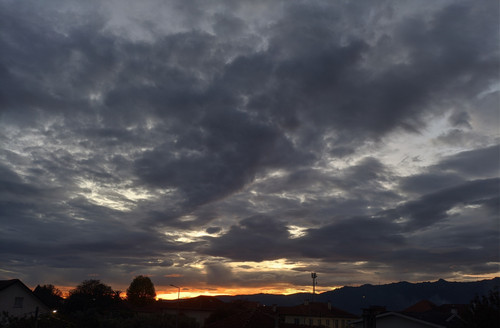 IMG 20241101 173920.jpg