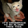 tumblr 7c6f0115dbb2f5aee7d6433965a37072 7a0b04dd 100.jpg