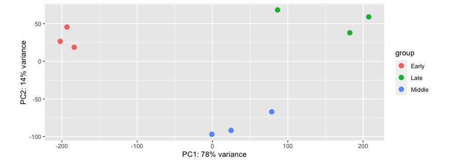 PCA plot produced by plotPCA