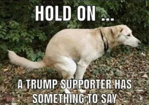 HOLD ON A TRUMP SUPPORTER HAS SOMETHING TO SAY featuring a dog taking a shit.jpg