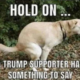 HOLD ON A TRUMP SUPPORTER HAS SOMETHING TO SAY featuring a dog taking a shit