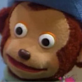 Speechless 02 Speechless bear aka Say What WTF