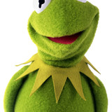 Kermit eborra KermitTheFrog CutePhoto.jpg