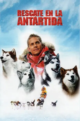 Eight below.webp