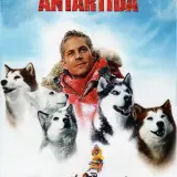 Eight below