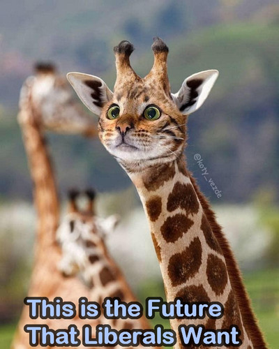 Cat Giraffe Liberals Want.jpg