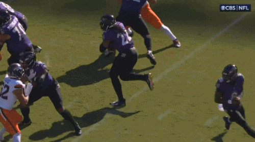 GIF 11 3 2024 12 28 53 PM.gif