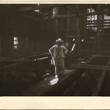 Photography Emmerich annesburg 23