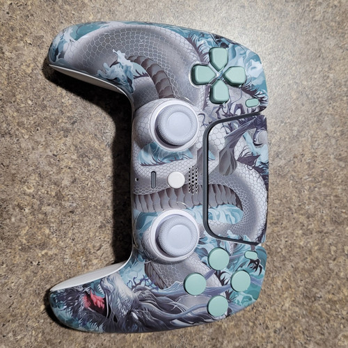 layhsscontrollermods photo DFHNcilswQB 20250122 112350 474499303.jpg