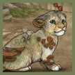 thumbn (5).png