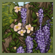 wisteria thumbn.png