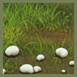 puffball thumbn.png