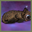 cyclopia brown thumbn.png