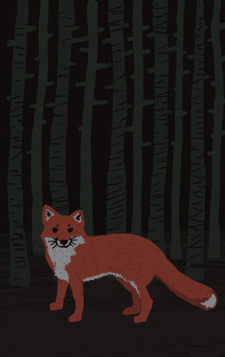 Fox V1.jpg