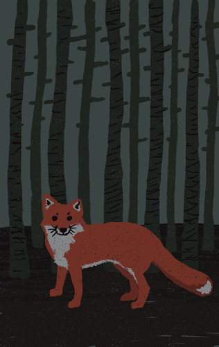 Fox V2.jpg