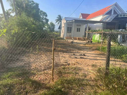 476596992 2340320866330974 1470978587239109215 n.jpg