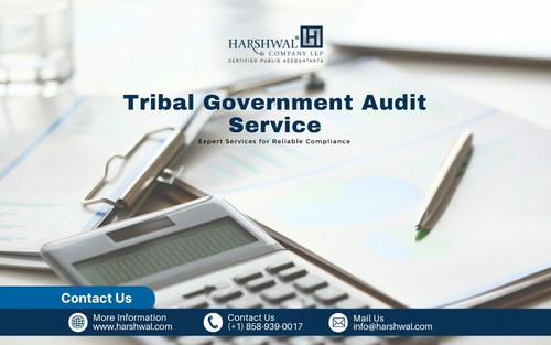 Tribal Government Audit Service expert services HCLLP.jpg