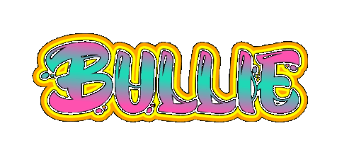 Bullie 2 13 2025.gif