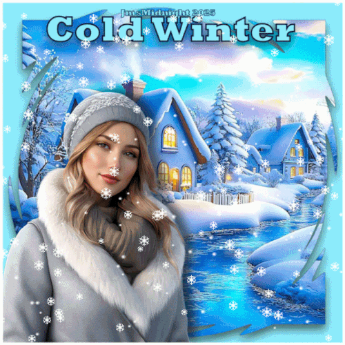 Cold Winter 700 02.gif