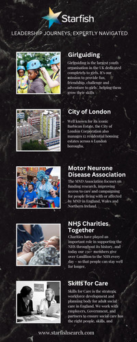 Starfish Search – Executive Search Specialists.jpg