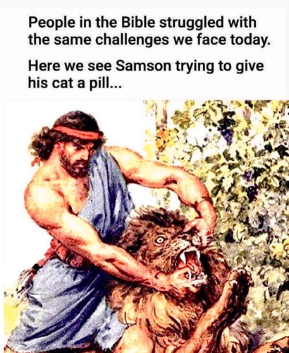 phonto.jpg