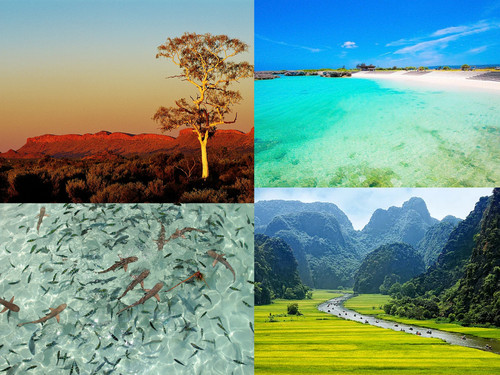 ' Glorified is The  All-Mighty Creator '.jpg