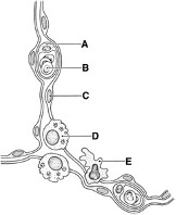 Picture40.jpg