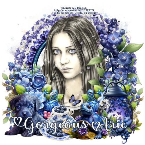 dyBerrySweetBGorgeousArieBuzzy vi