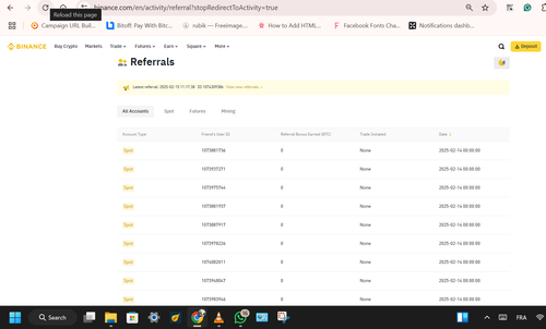 Screenshot 2025 02 15 152111.png