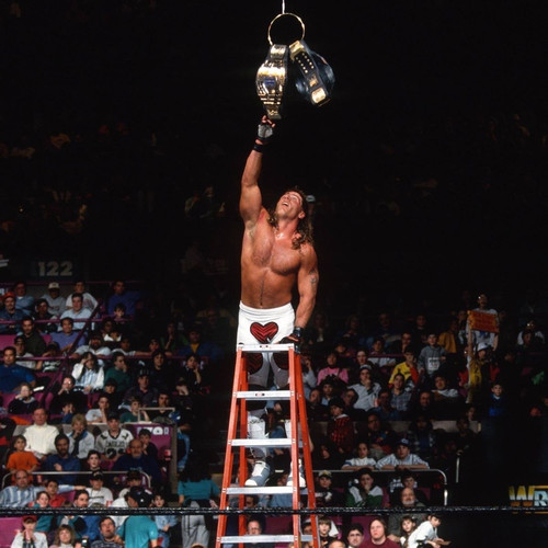 Shawn Michaels - Ladder Match.jpg