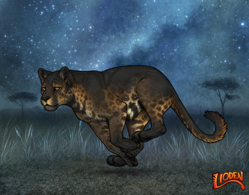 lion 794237666086.png