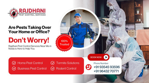 Need Pest Control Services Near Me? Get the Best in Noida.jpg