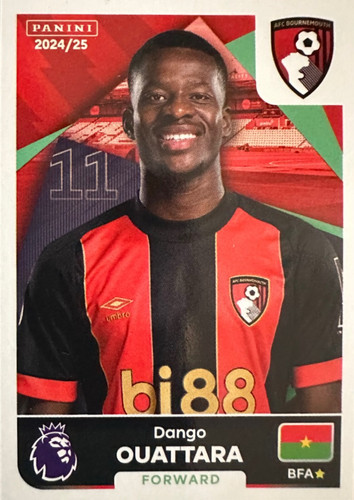 41.jpg