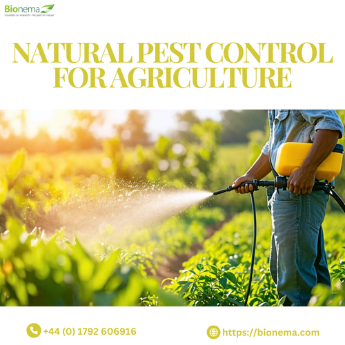 Natural Pest Control for Agriculture: Sustainable Farming Solutions.png