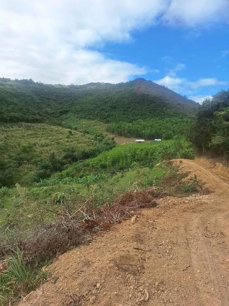 480322599 1971991956600917 4403675001899993254 n.jpg