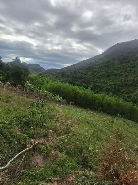 480231973 1971992069934239 4577459144398167745 n.jpg