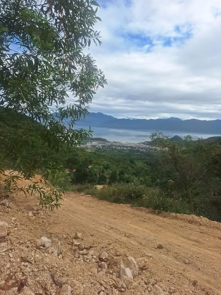 480030370 1971991879934258 1425257636731198650 n.jpg