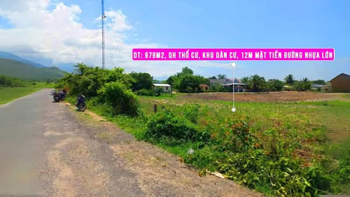 475541804 1150625513140824 3088543841043969718 n.jpg