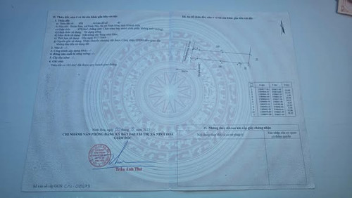 479185255 1150625466474162 1231420749924192132 n.jpg