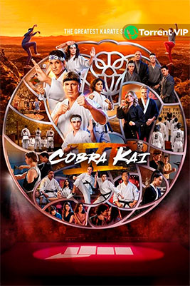 Cobra Kai (TV Series) [2024] [S06] [Custom – DVDR] [Latino]