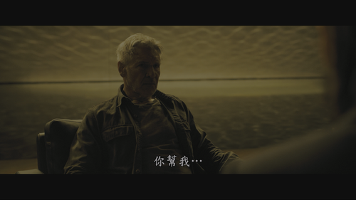 BLADE RUNNER 2049 UHD 20250216 212348.502.png