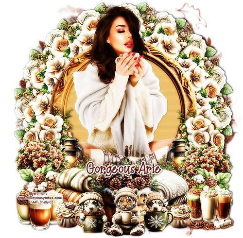 Themecupcake21125 VMGA.png