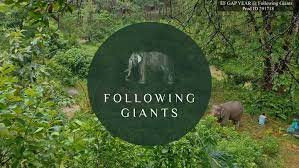 Full Day Ethical Elephant Sanctuary.jpg