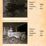 Kutschen Katalog (1)