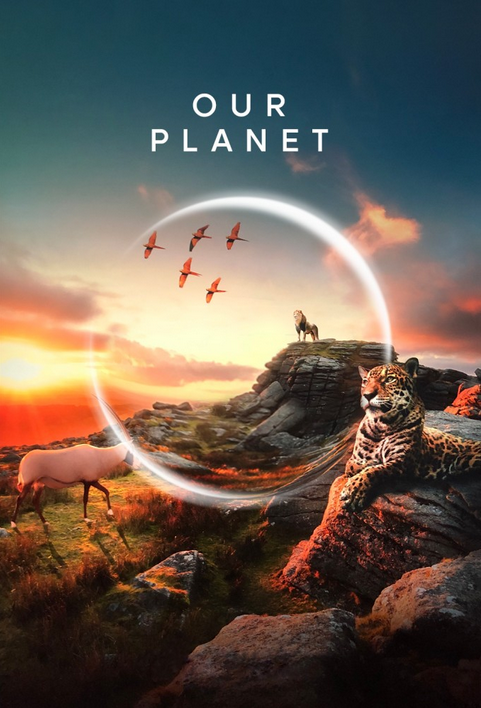 Nasza planeta / Our Planet (2019-2023) (Sezon 1-2) MULTi.1080p.NF.WEB-DL.H264-Mixio | Lektor i Napisy PL