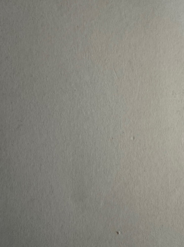 381.jpg