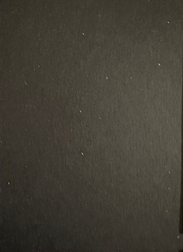 283.jpg