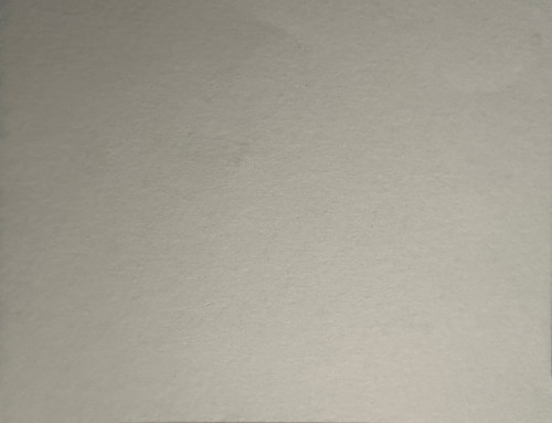 431.jpg