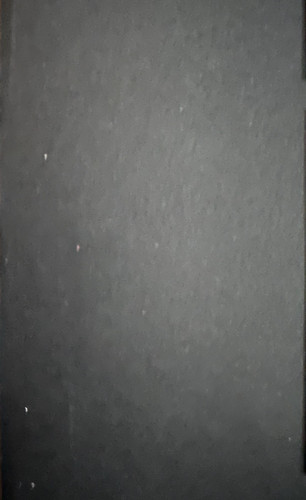 339.jpg
